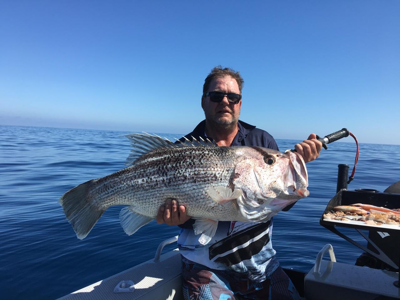 Heavy Duty Offshore Paternoster Bait Fishing Rigs
