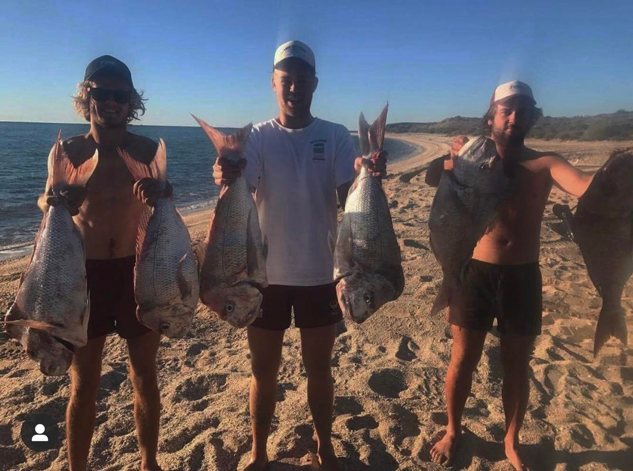 Snapper Fishing Value Bundle