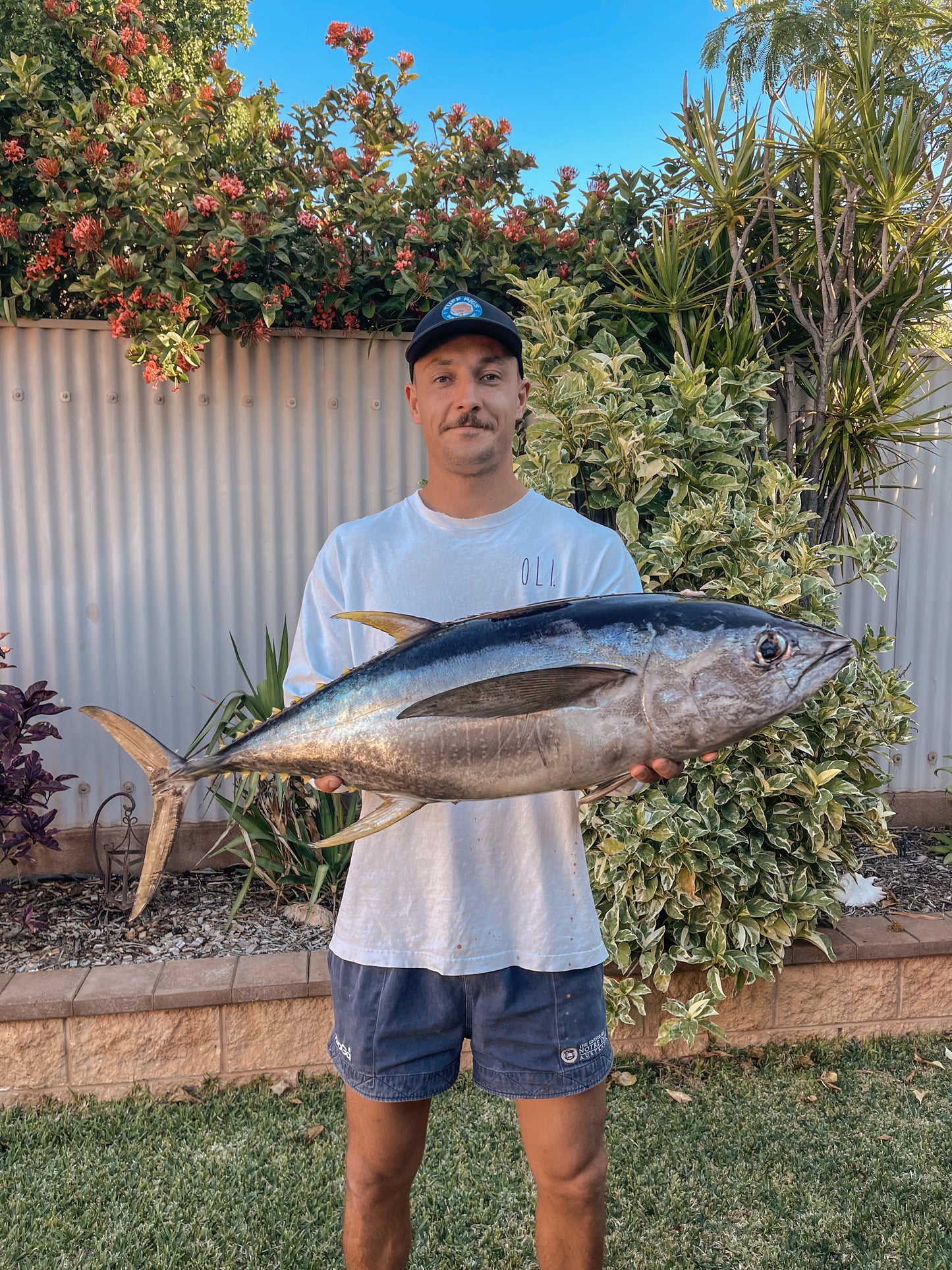 Snelled Running Fishing Bait Rigs