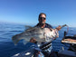 Heavy Duty Paternoster Bait Fishing Rigs