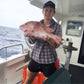 Heavy Duty Paternoster Bait Fishing Rigs