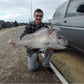 Snapper Fishing Value Bundle